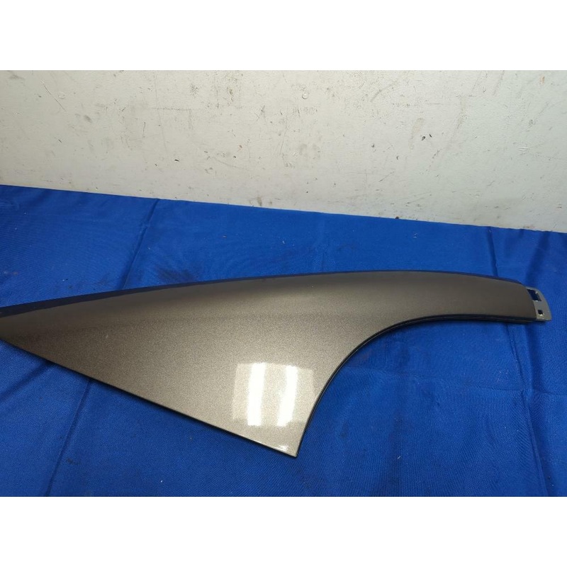 2003-04 Ford Mustang SVT Cobra Passenger RH Sail Panel C-Pillar DSG 180