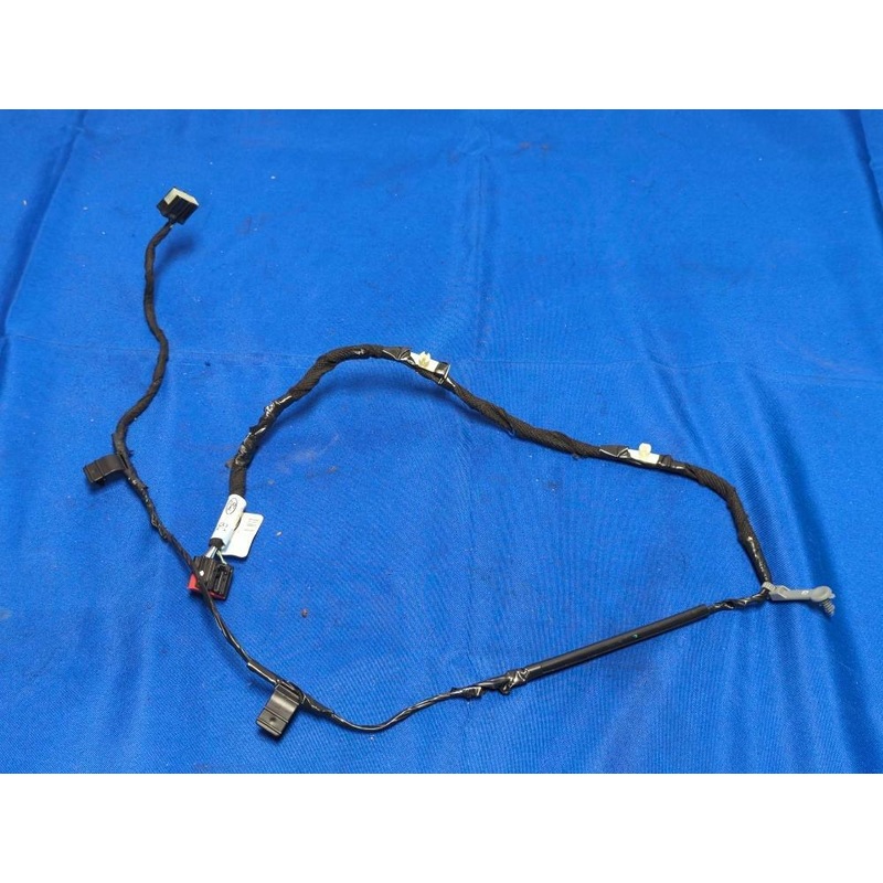 2015-17 Ford Mustang GT 5.0 Coyote Rear View Mirror Harness 172