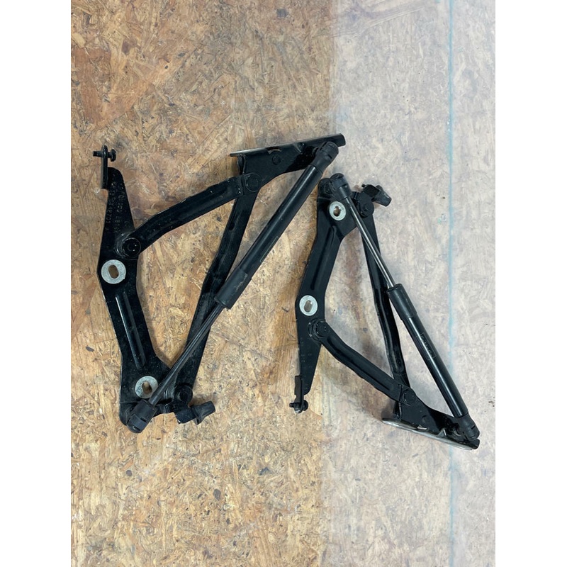 2018-23 Ford Mustang GT Trunk Hinges w/ Struts (G1) 216